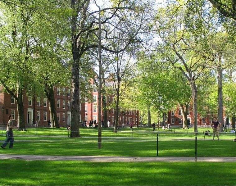 Harvard Yield, Yield at Harvard, Harvard Matriculation